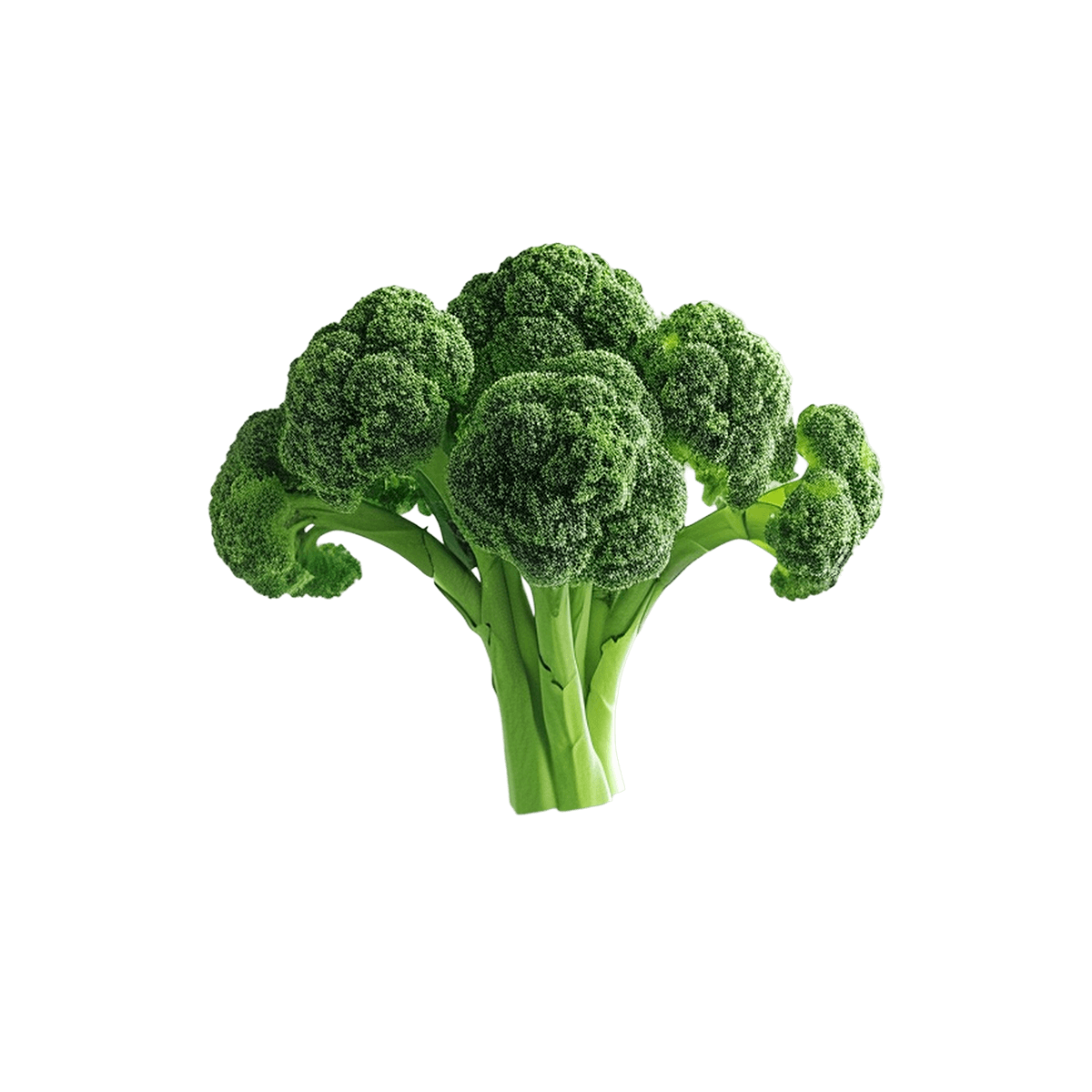 Organic Green Broccoli